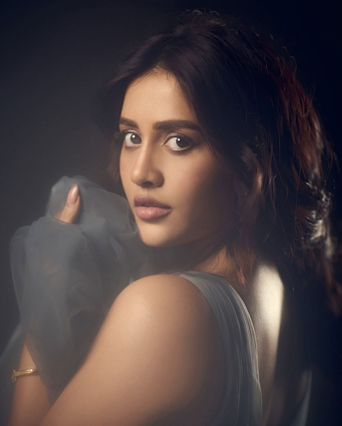 Nabha Natesh Photos