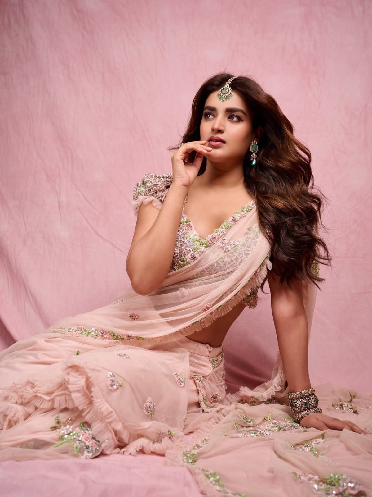 Nidhhi Agerwal Photos