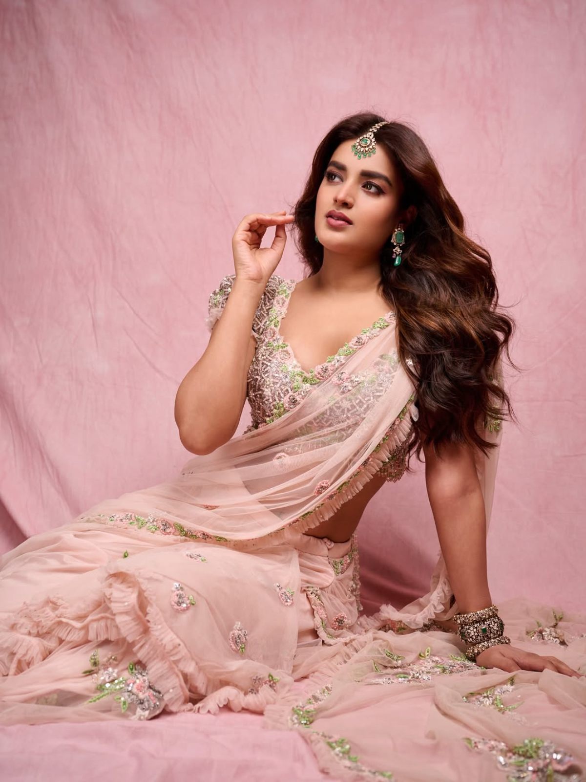 Nidhhi Agerwal Photos