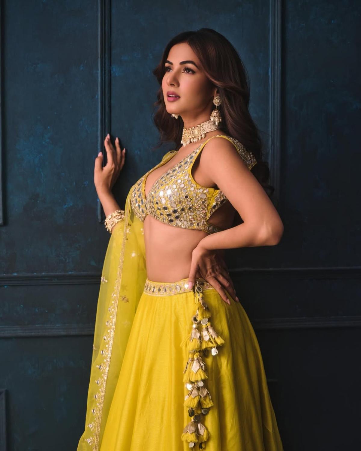 Sonal Chauhan Photos