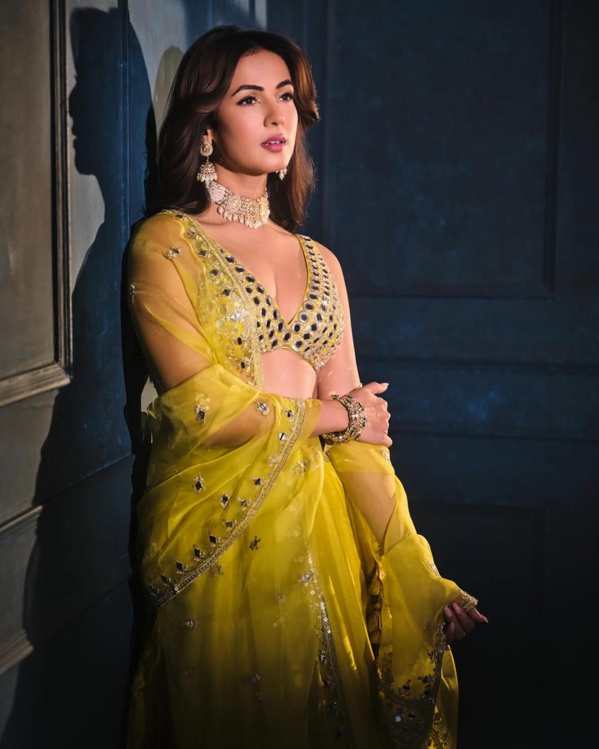 Sonal Chauhan Photos